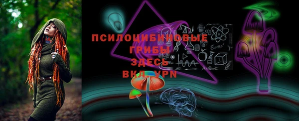 спайс Лабытнанги