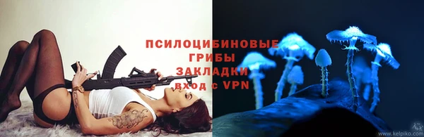 герыч Лагань