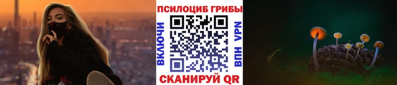 Псилоцибиновые грибы Psilocybe где купить Павловский Посад