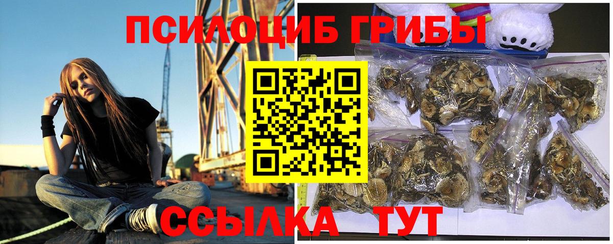 Псилоцибиновые грибы Psilocybine cubensis  Вход с VPN  Галлюциногенные грибы Psilocybe  купить наркоту  Павловский Посад 
