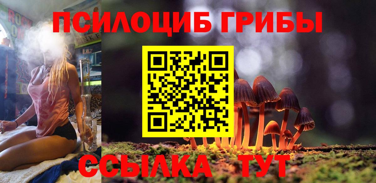 Галлюциногенные грибы GOLDEN TEACHER Павловский Посад