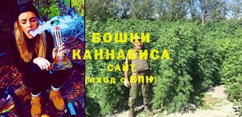 где купить наркоту  Павловский Посад  Конопля LSD WEED 